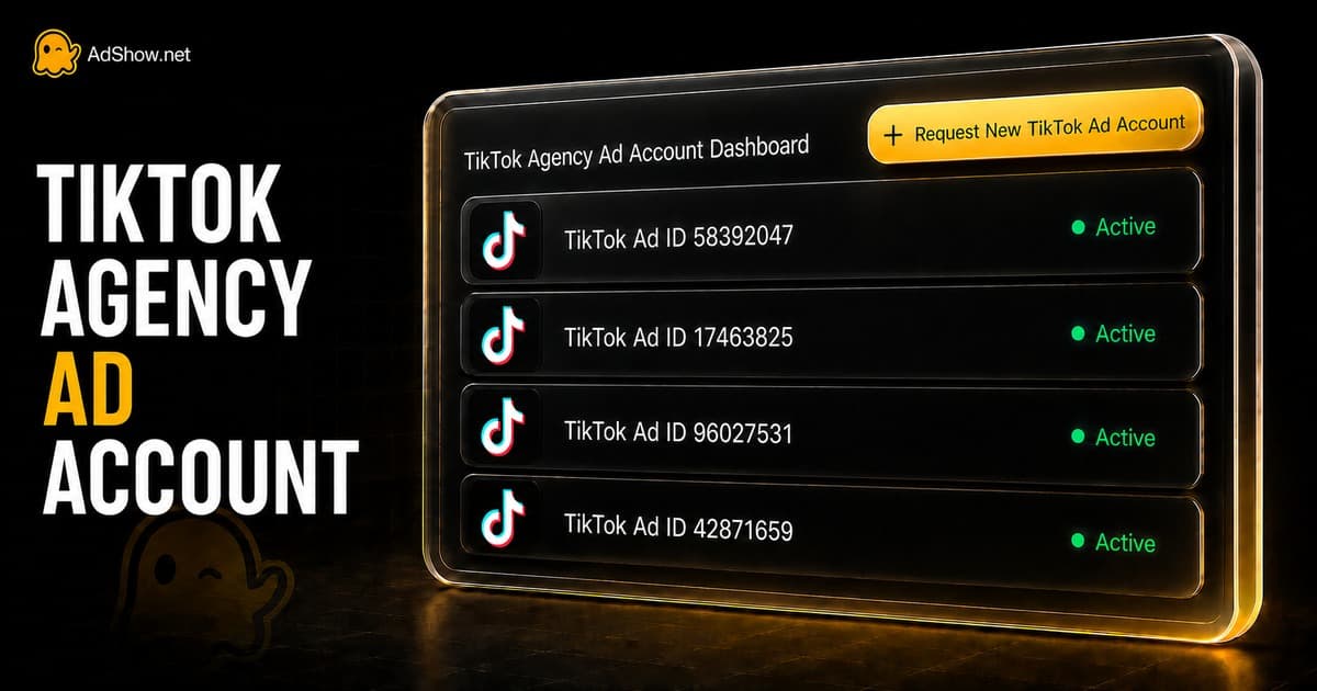 AdShow TikTok agency ad account dashboard showing active accounts